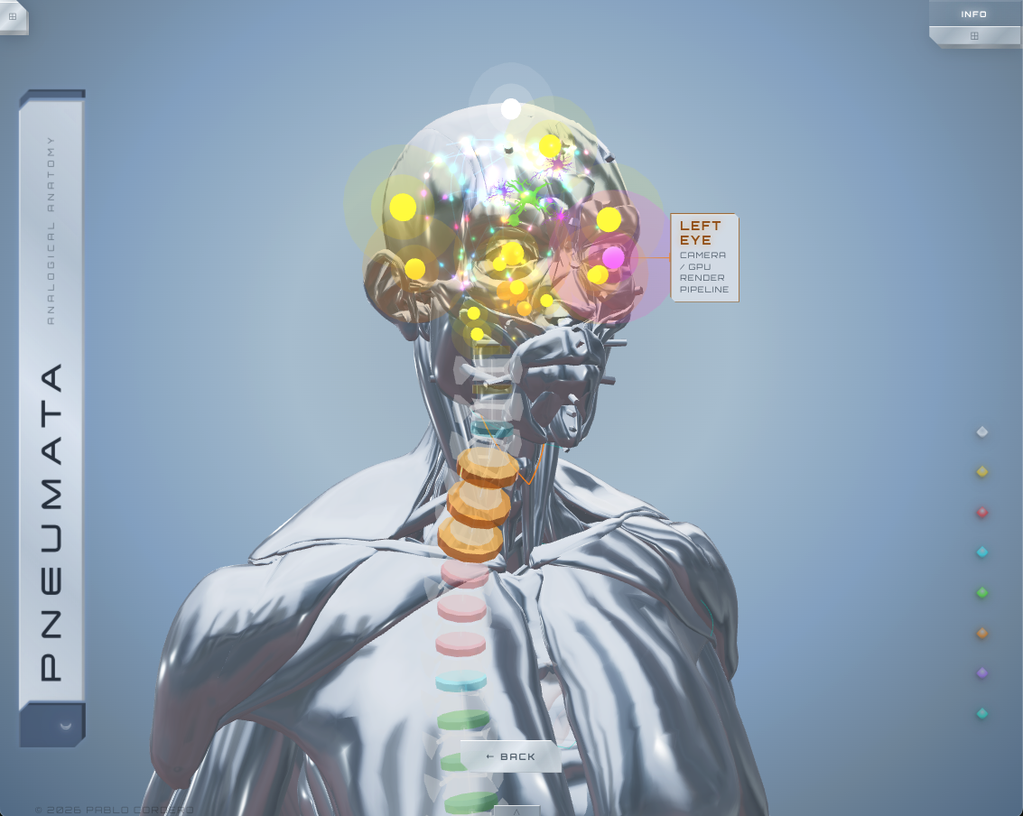 Brain zoom — cranial nodes clustered with colorful spine