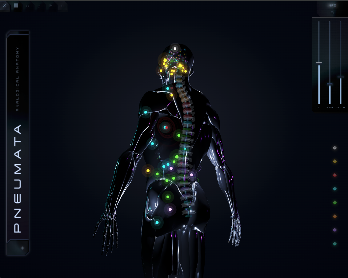 Dark mode — obsidian body with glowing color-coded organ nodes